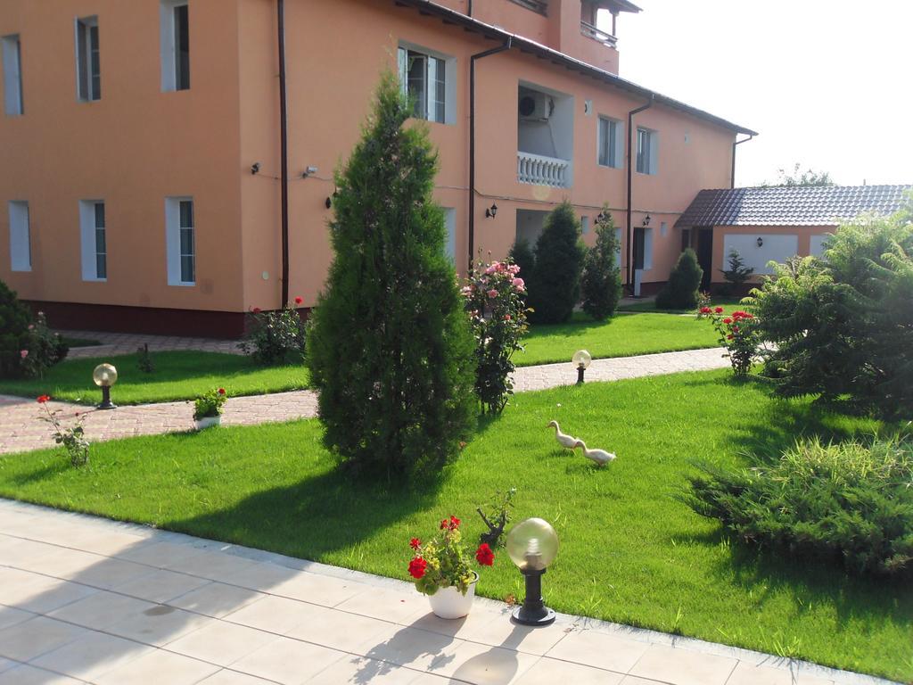 מלון Râmnicu Vâlcea Casa Alba מראה חיצוני תמונה