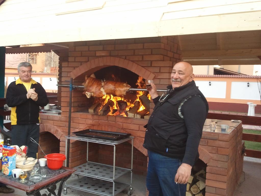 מלון Râmnicu Vâlcea Casa Alba מראה חיצוני תמונה